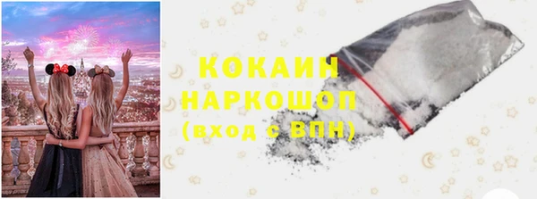 PSILOCYBIN Чегем
