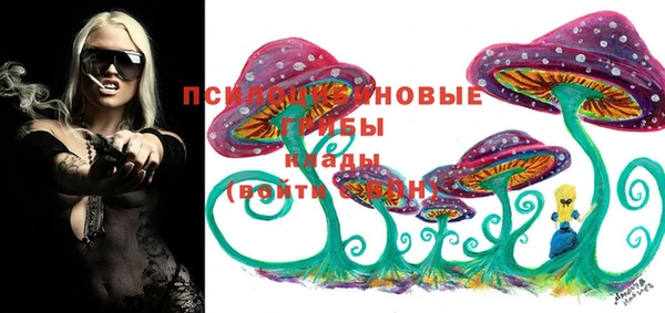 наркотики Заводоуковск