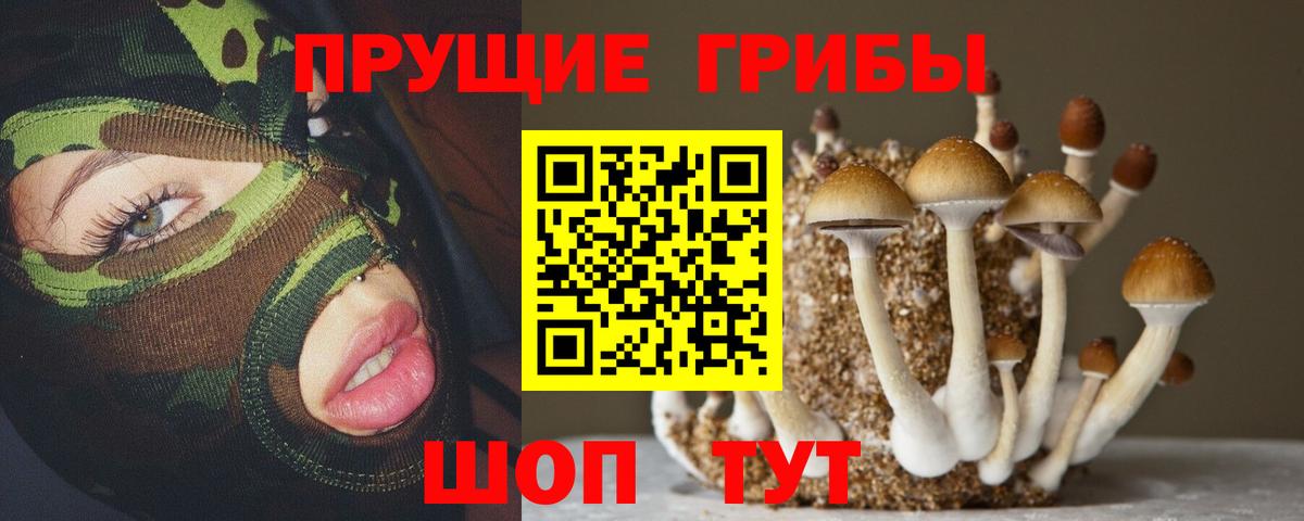 Галлюциногенные грибы MAGIC MUSHROOMS  Вход с VPN  сколько стоит  Коломна 