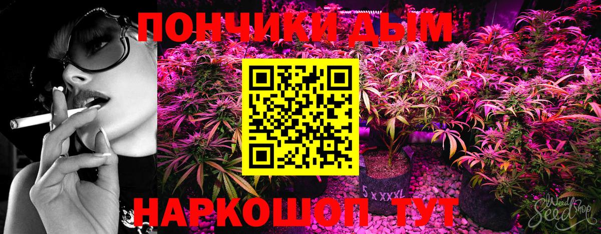 Конопля индика  Вход с VPN  Канабис сатива  Коломна 